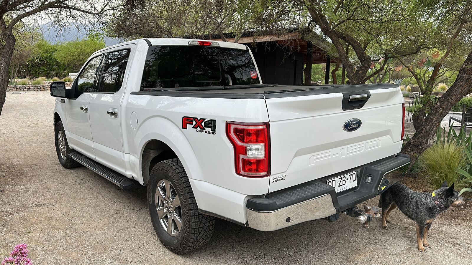 Ford F-150 con cubre pickup