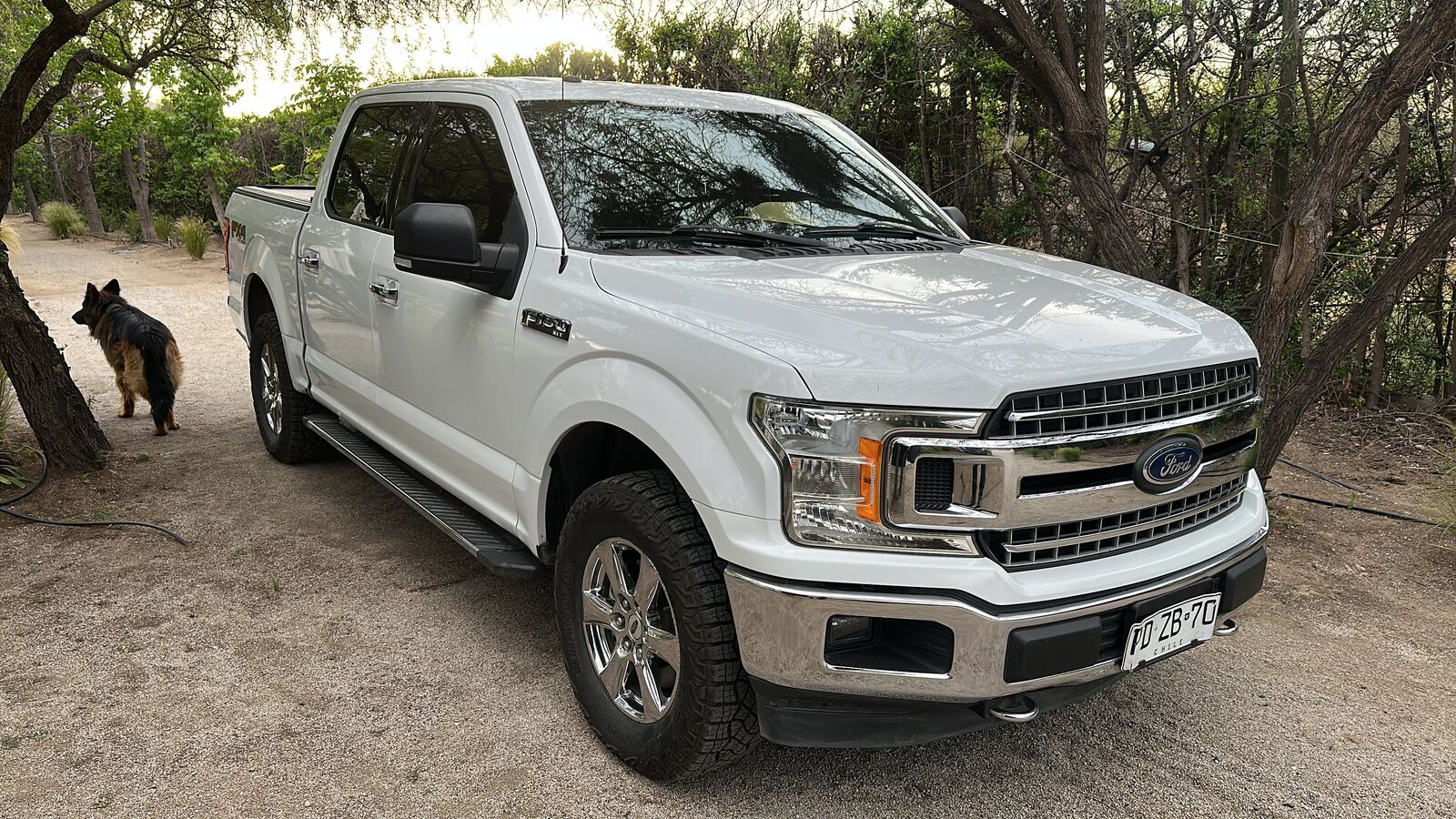 Ford F-150 XLT
