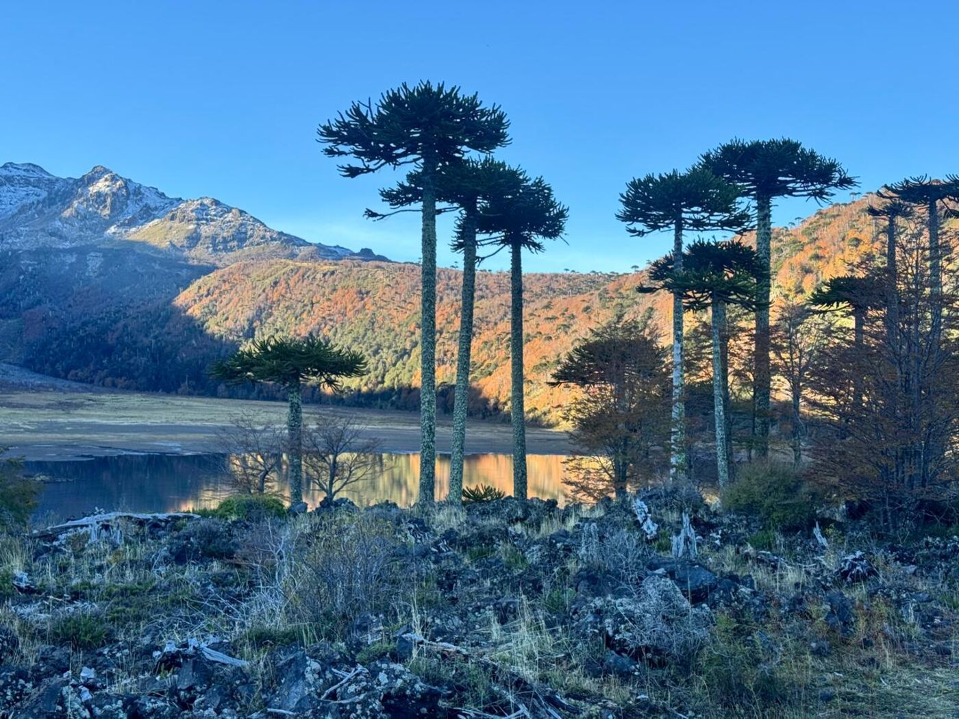 Laguna escondida